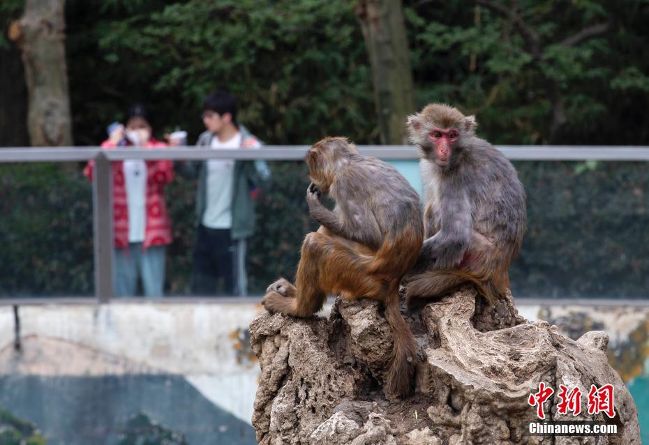女老师一级大片
