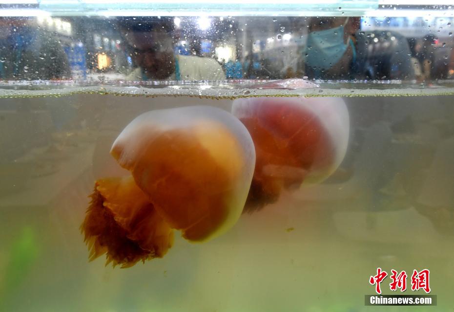 熟女自慰色情片