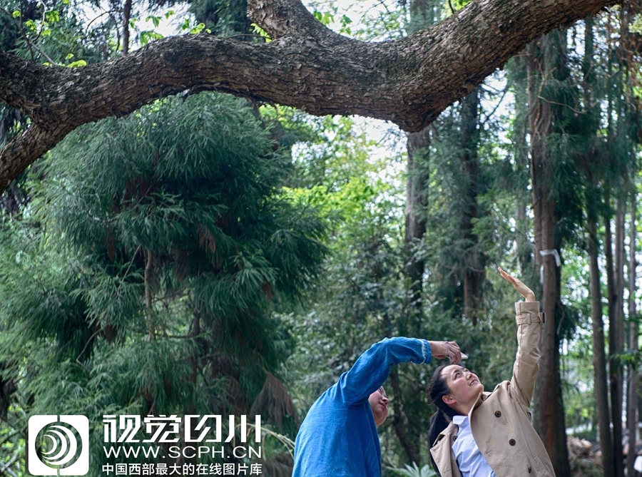 欧美老人性X