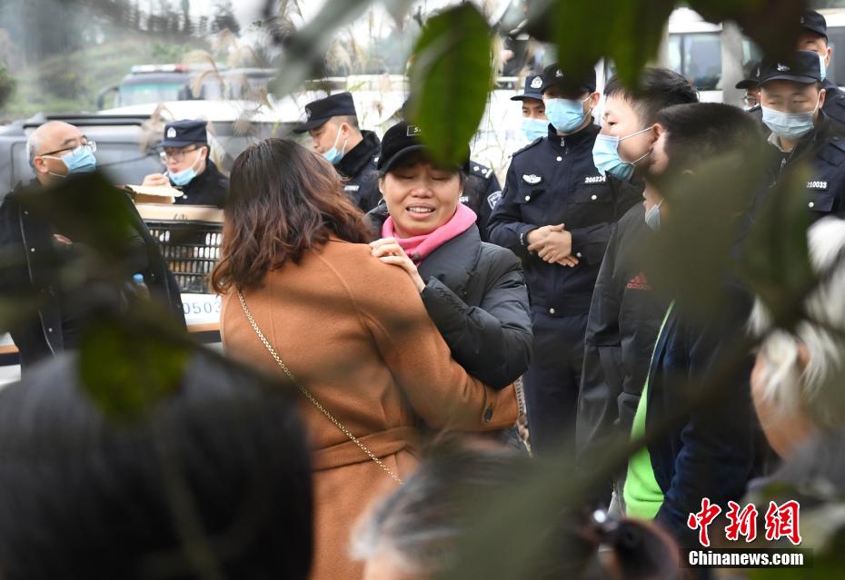 欧美老妇的多毛大肥屄