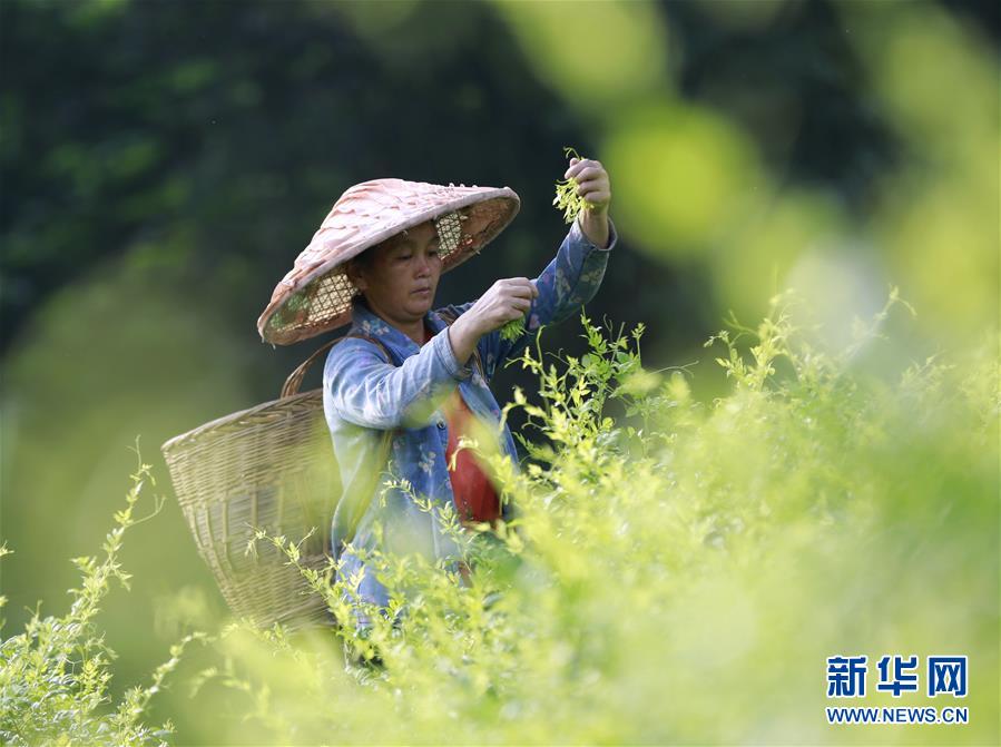 91  丨PORNY丨首页