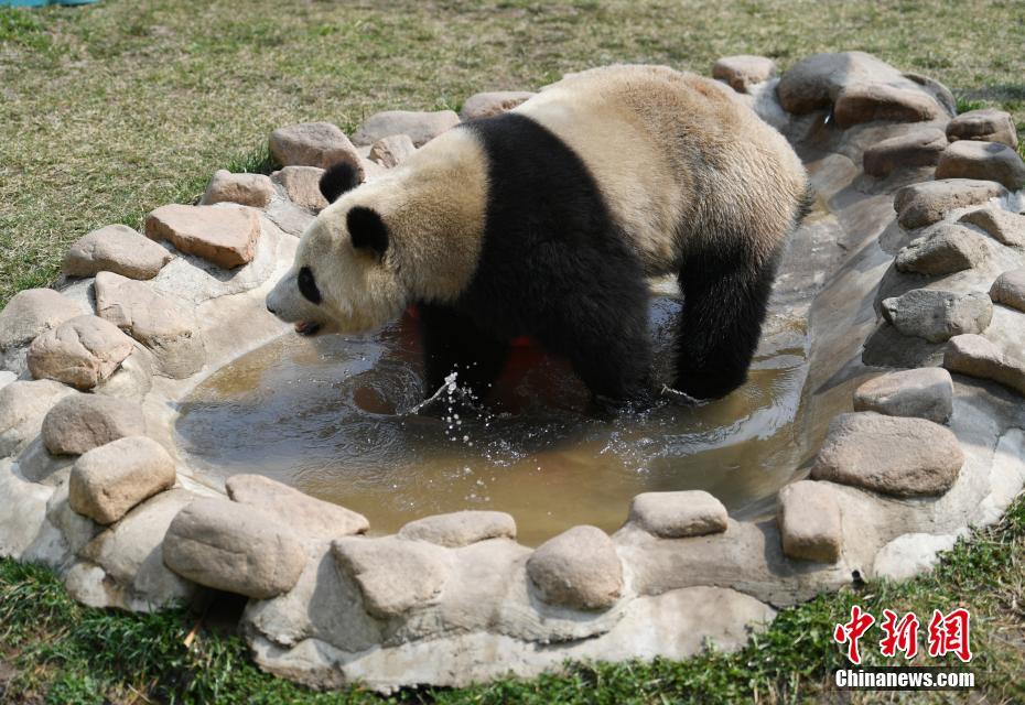 中國體操