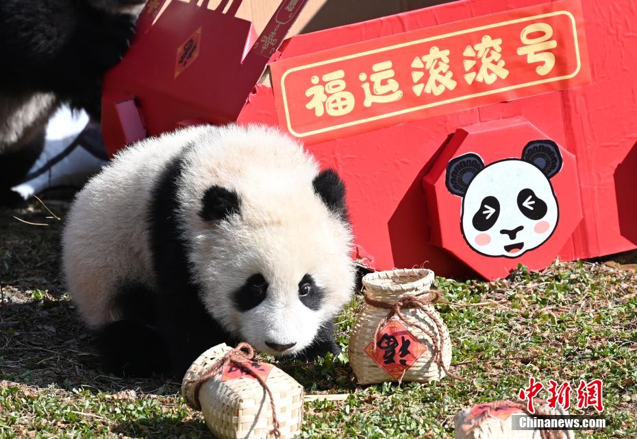 溫翠蘋