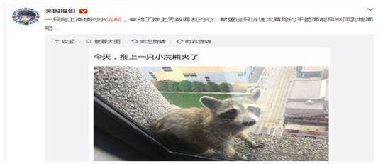 清涼內衣秀