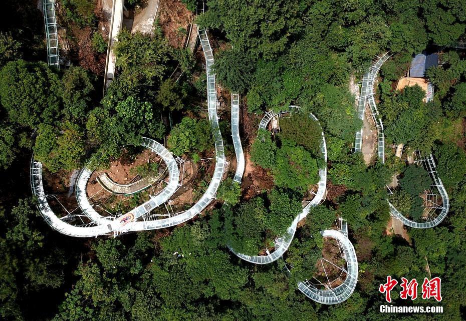 黑人老妇高潮