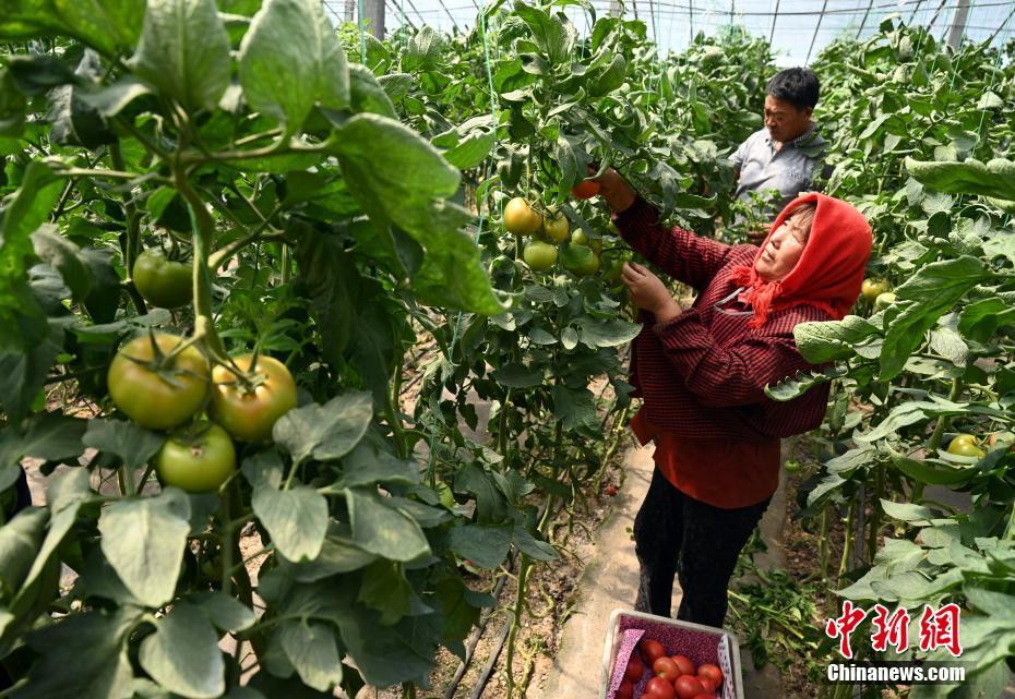 季影帝边拍戏边做h