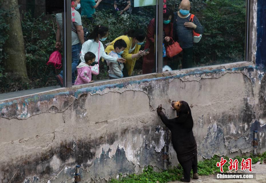 俄罗俄处破女见红HD