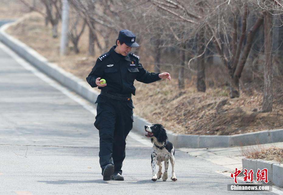 免费 成 人 黄 色 软件