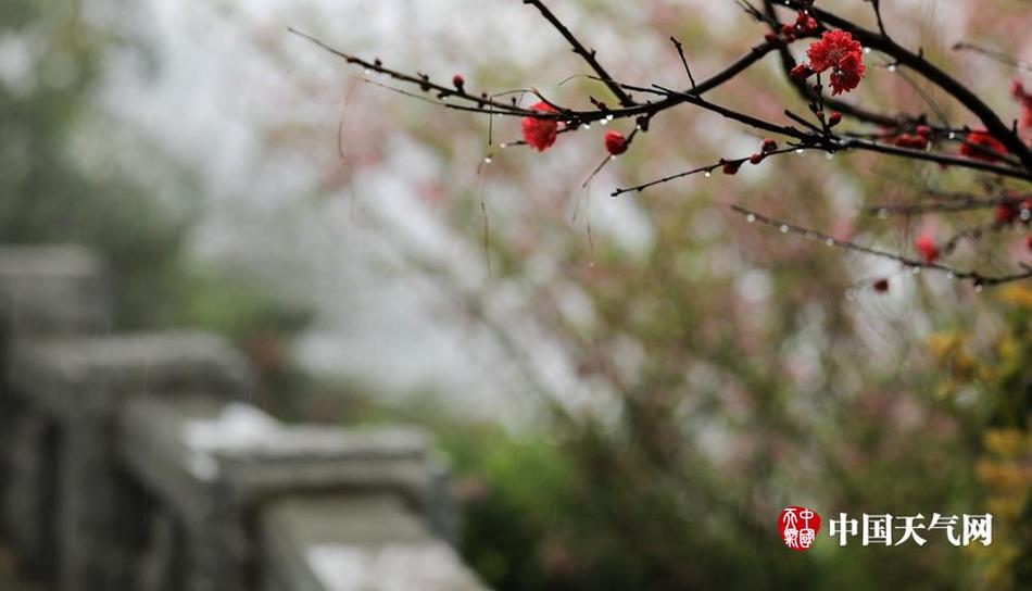 歐美老片