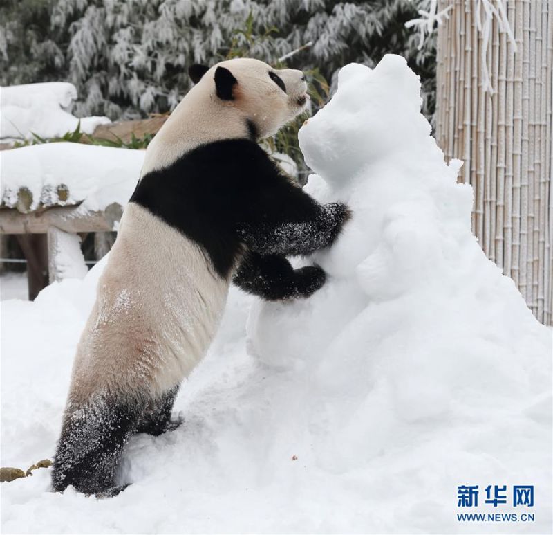 快用苹果帮手怎样设置铃声