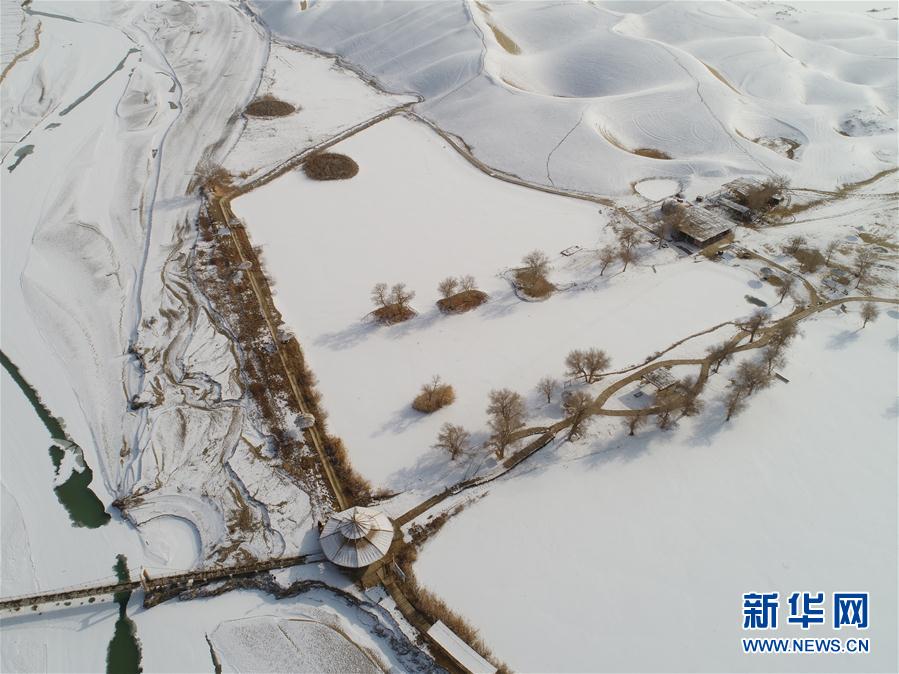 城麻美