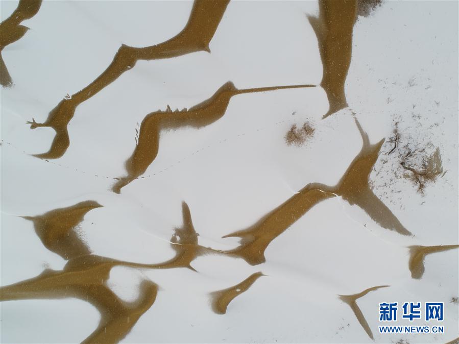免费看最黄的黄片儿