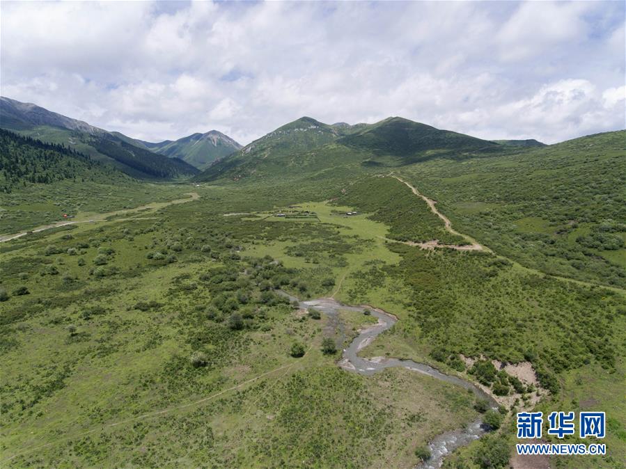 AI换脸鞠婧祎被狂躁-迷你世界2025竹林地形码哪些可以用 4