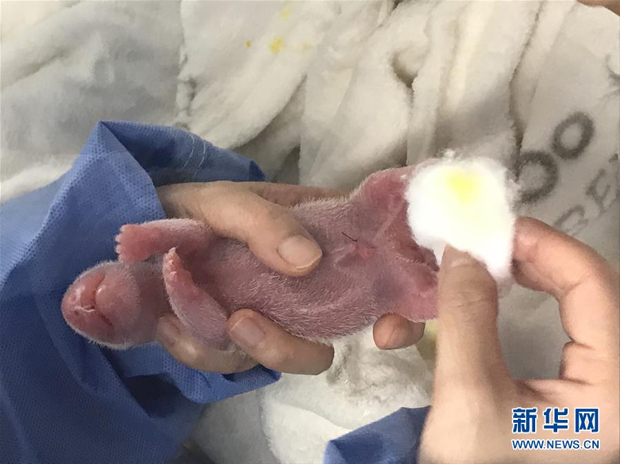 浴室里强做开腿呻吟的女人的原因