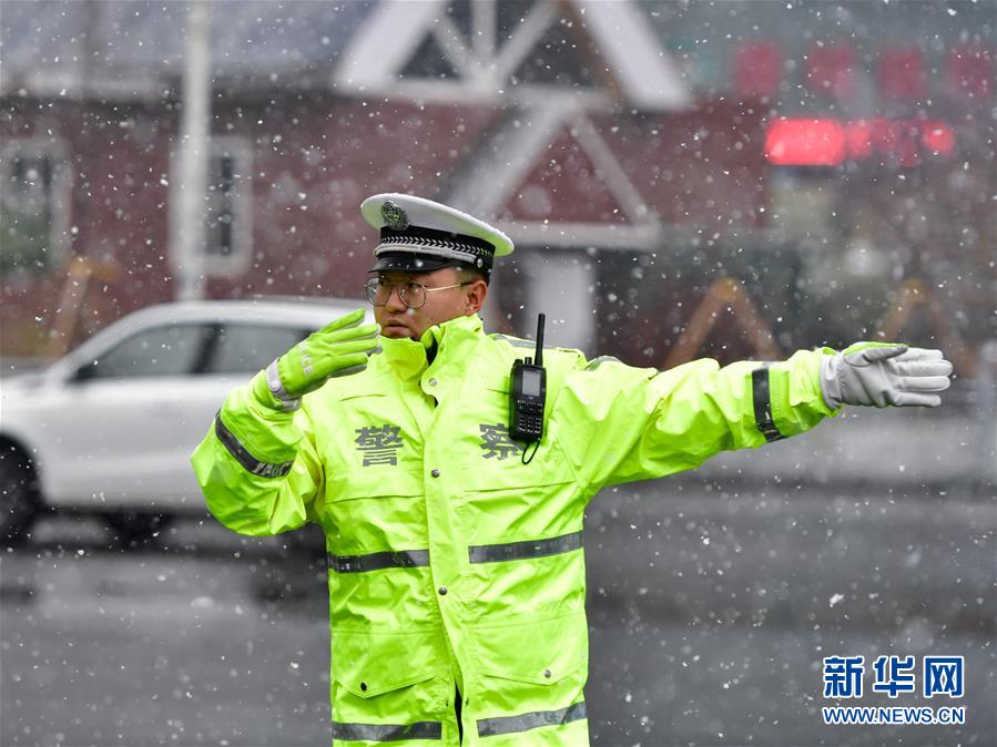 黄色 视频 网