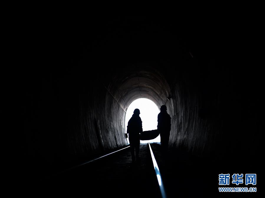 女人与公猪交交zozo