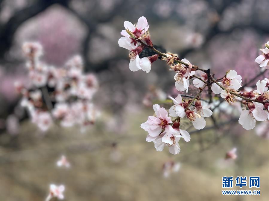 向日葵视频罗志祥总结one一个