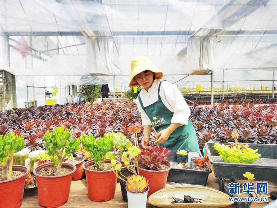 免费黄色在线网站软件网站