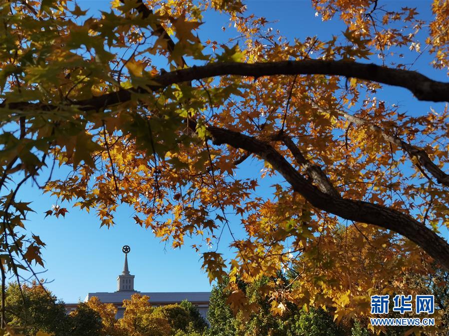 国产免费黄色网站永久