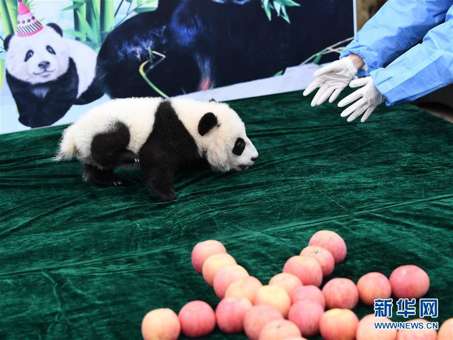 草莓视频色