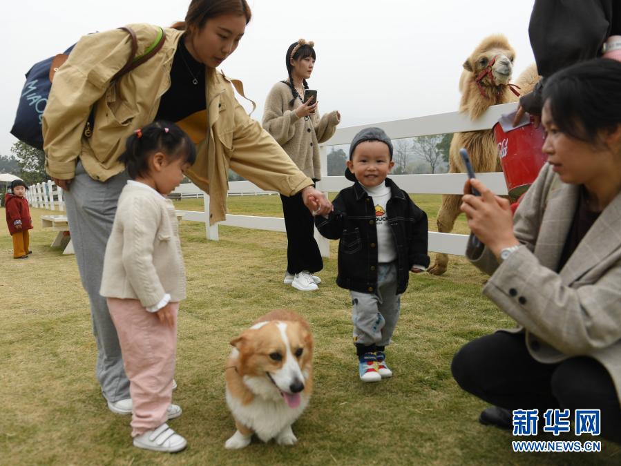 女性自慰 免费网站风险