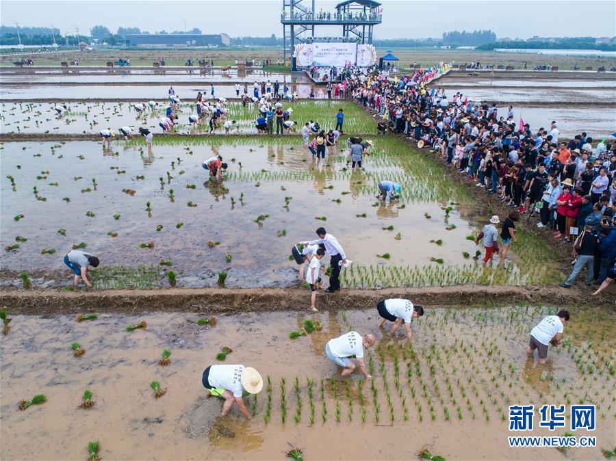 抓奶