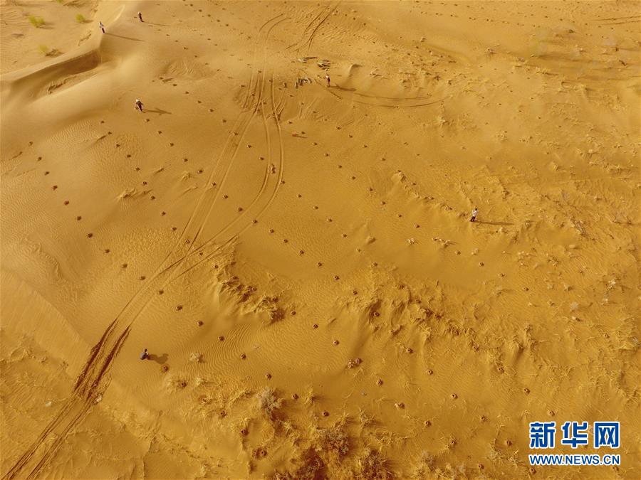 中国美女剃陰毛
