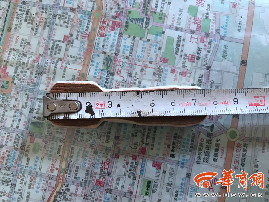 意大利总人口_2015意大利最新移民数据发展报告(3)