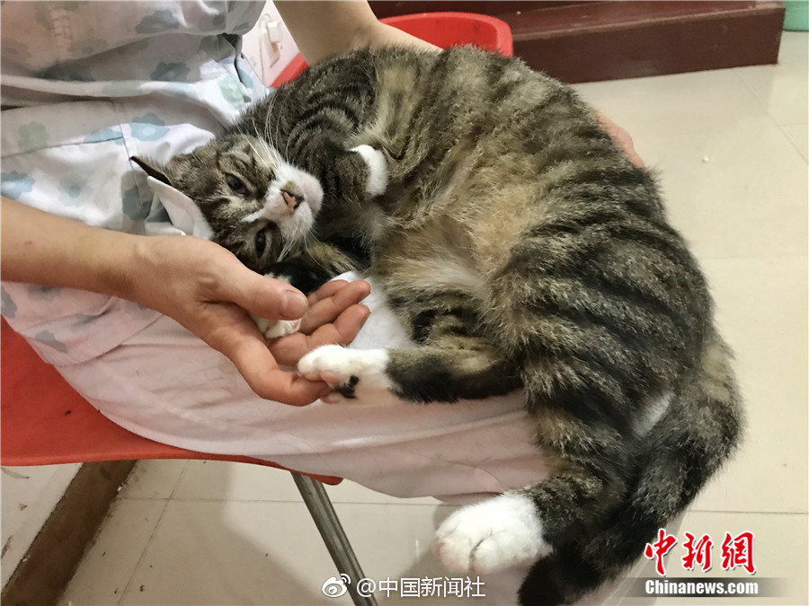 女人被添全过A片视频