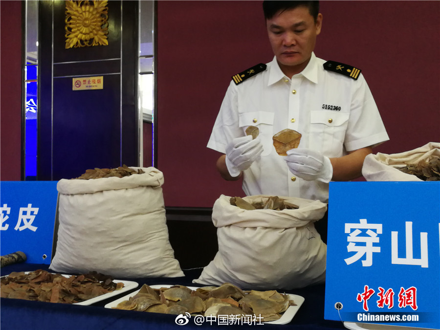 白鹿被狂揉下部 羞羞