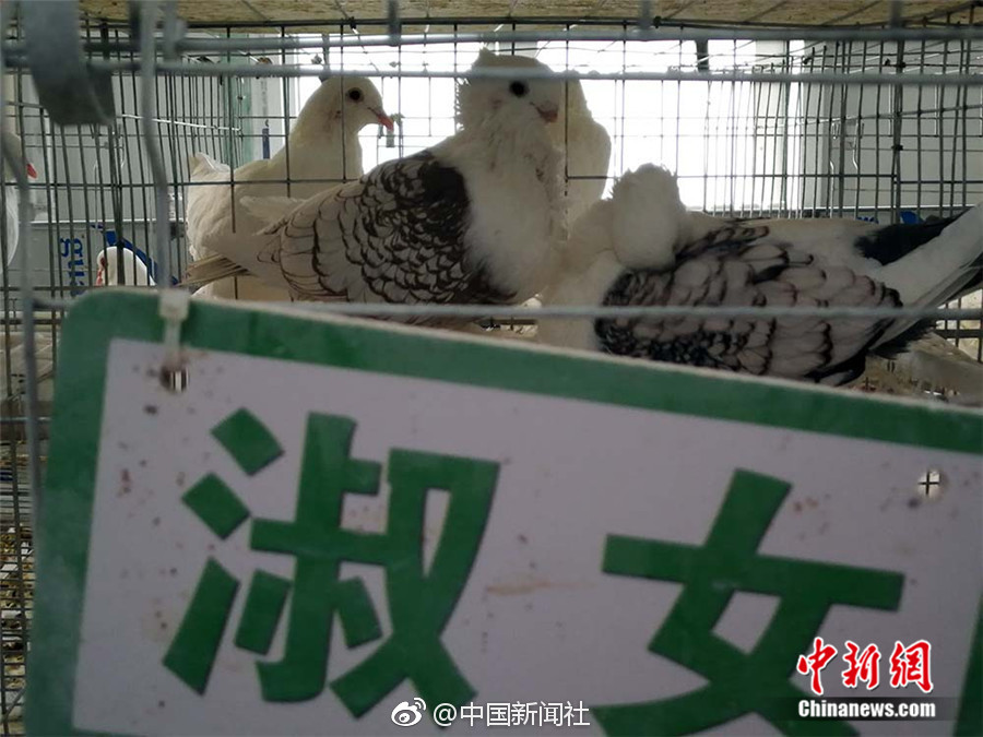 大陆 成人 网