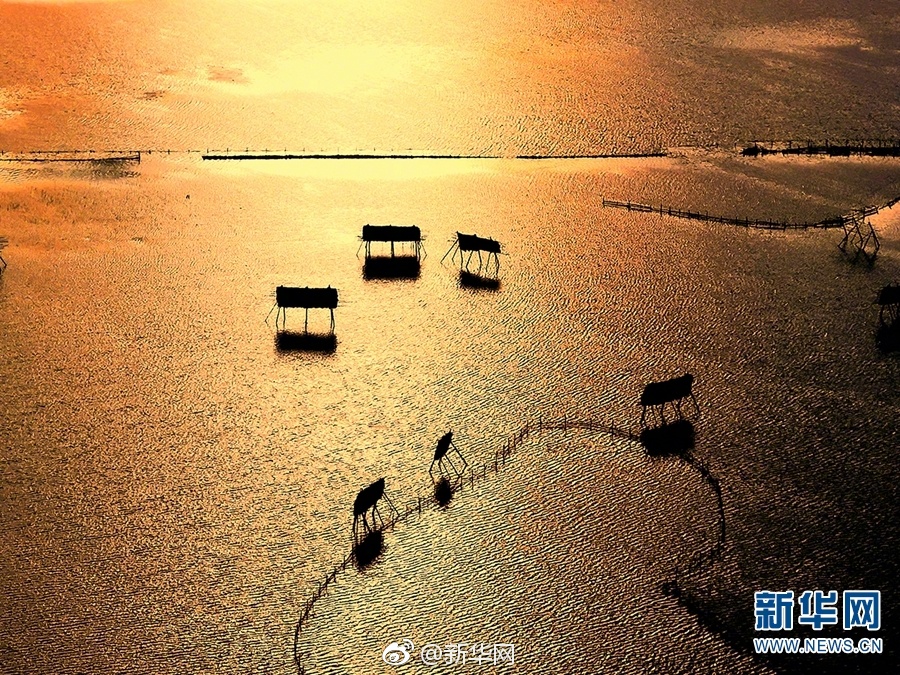 慈禧秘密生活