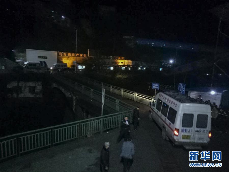 223寝室的杨国强，网络视频与剧情探索