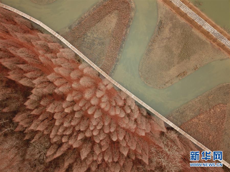 台灣外流影片
