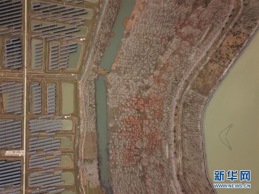 夜月直播app下载免费下载大全