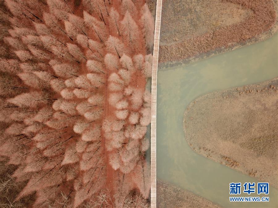 欧美成人影院