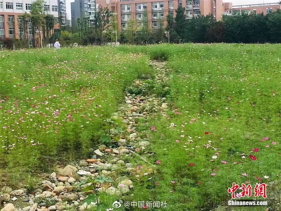 波多野结衣无码三级电影
