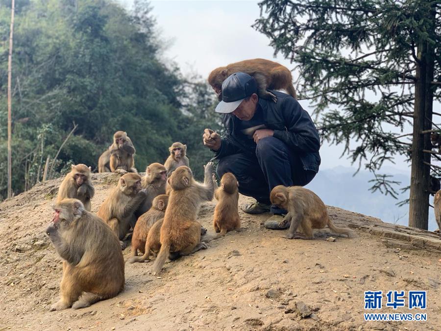 黄网站网址进人口