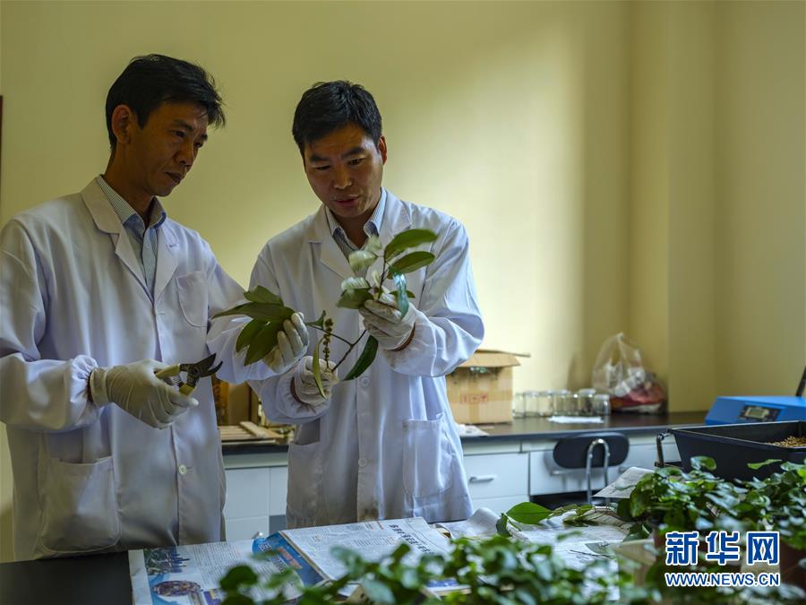 欧美酿酒三级片在线观看