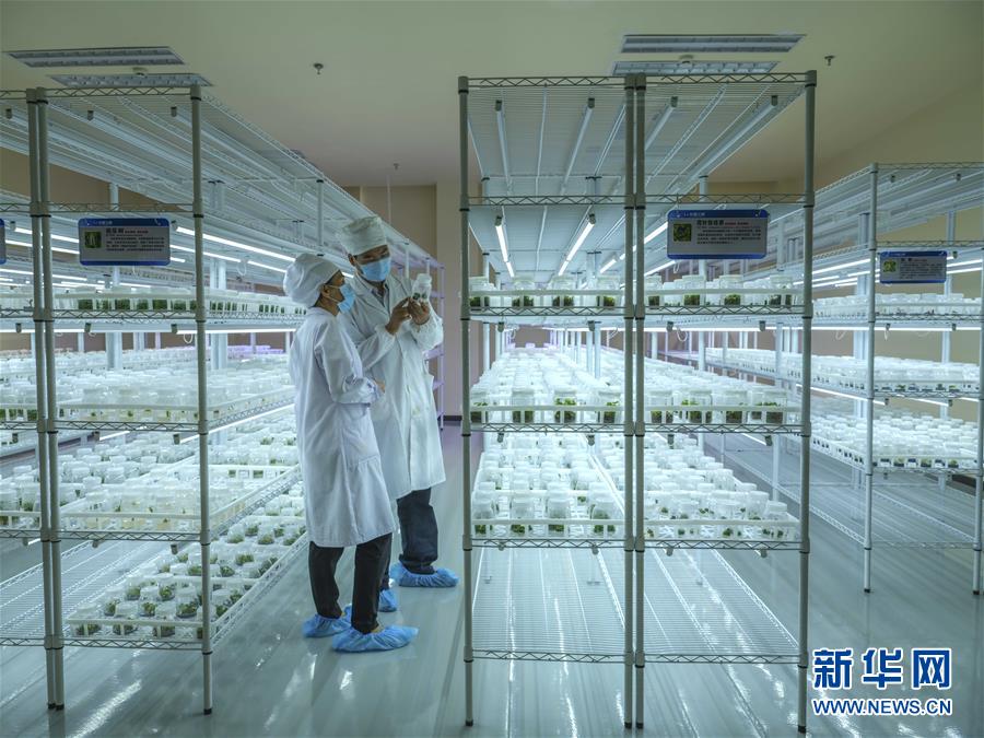 经典偷窥盗摄7777777