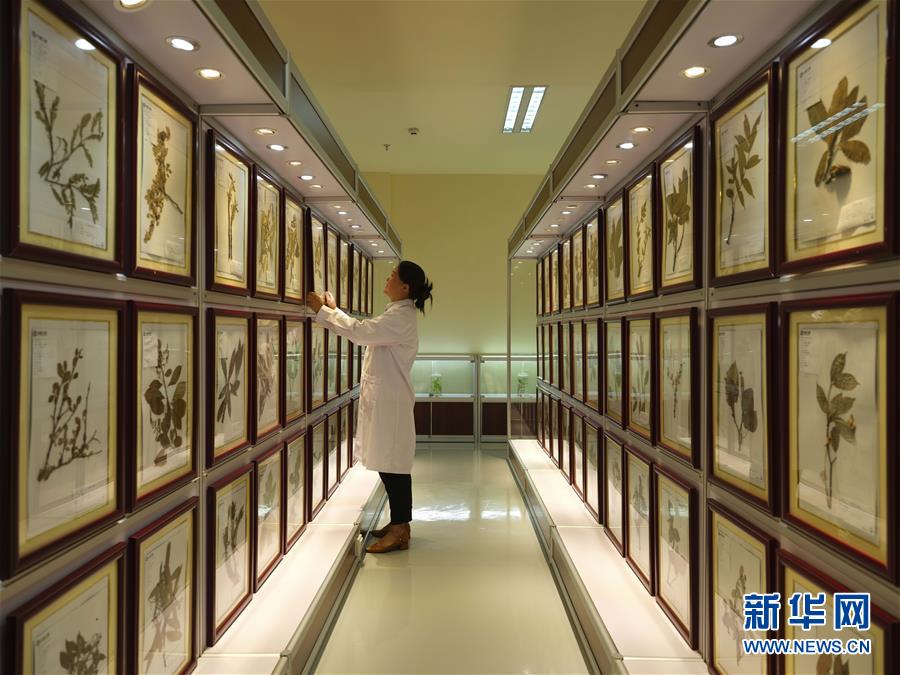 男優向理來