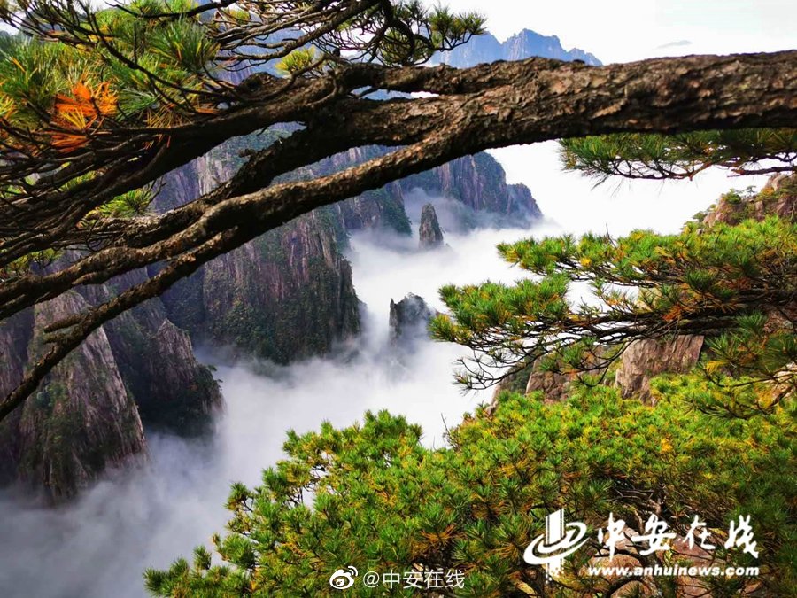 A黄色片