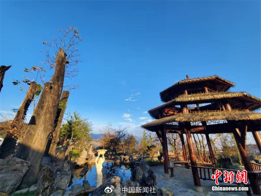 撩起胸罩我的 蹭来蹭去