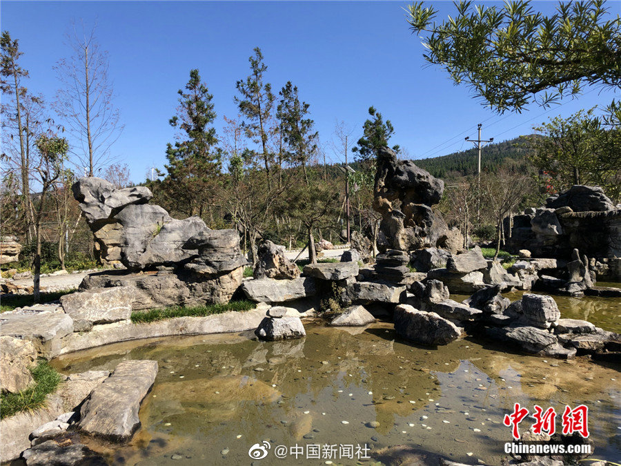 愛薇兒免費影片