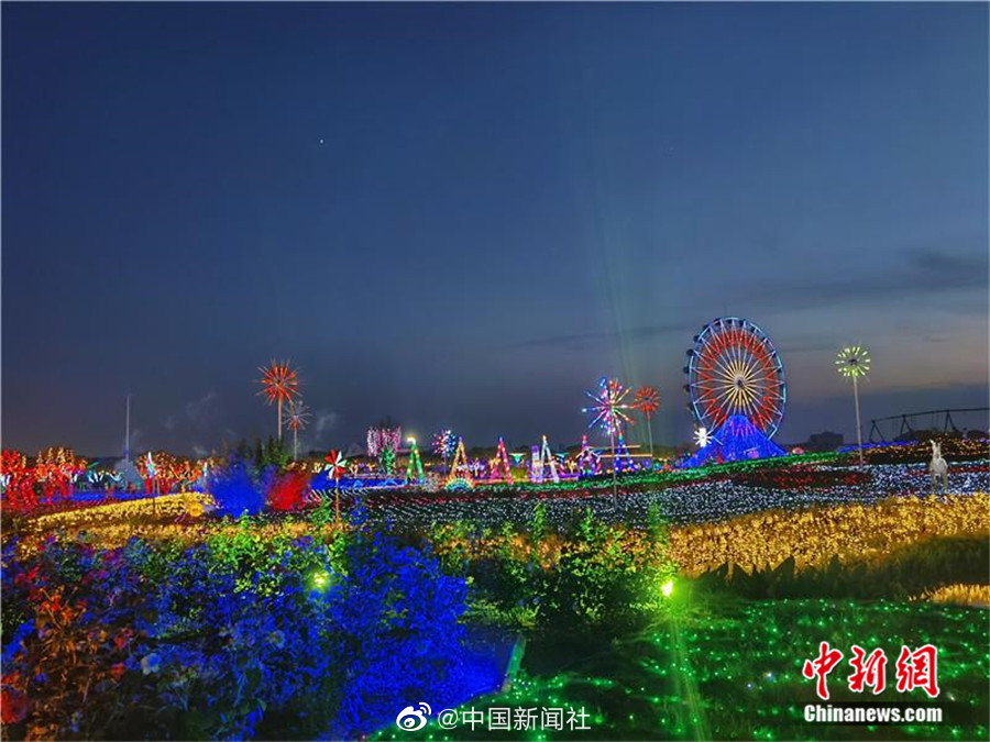 国内精品久久久久久久星