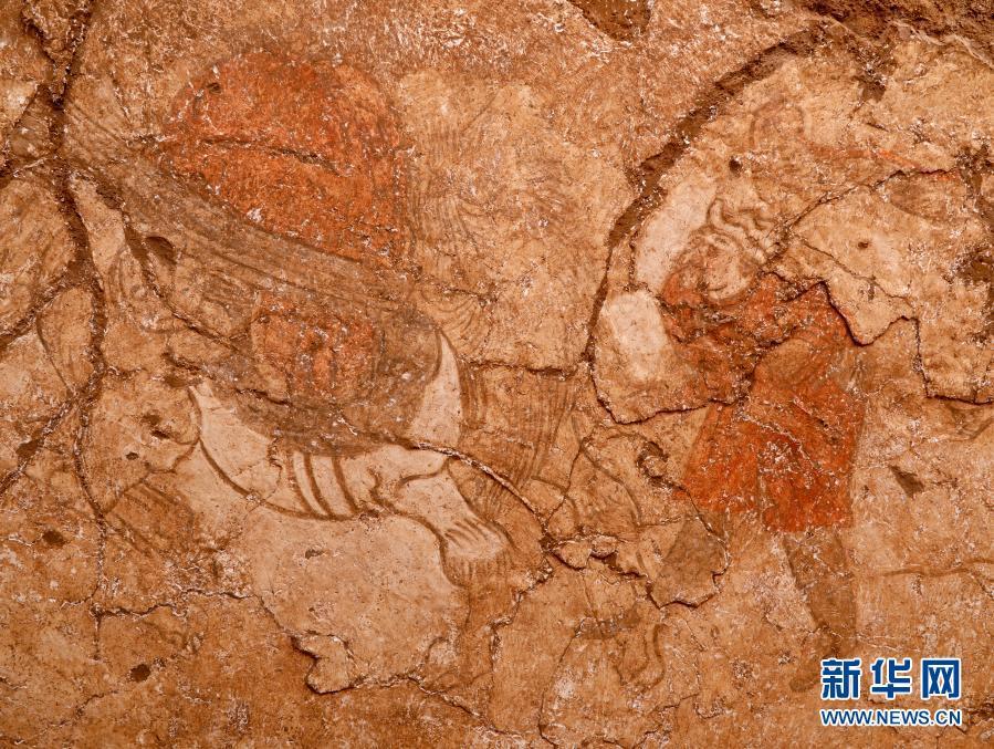 91高清视频