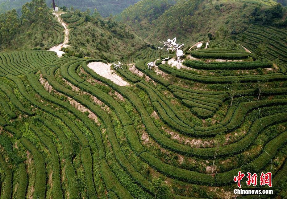 中国脏老太婆逼里射满精