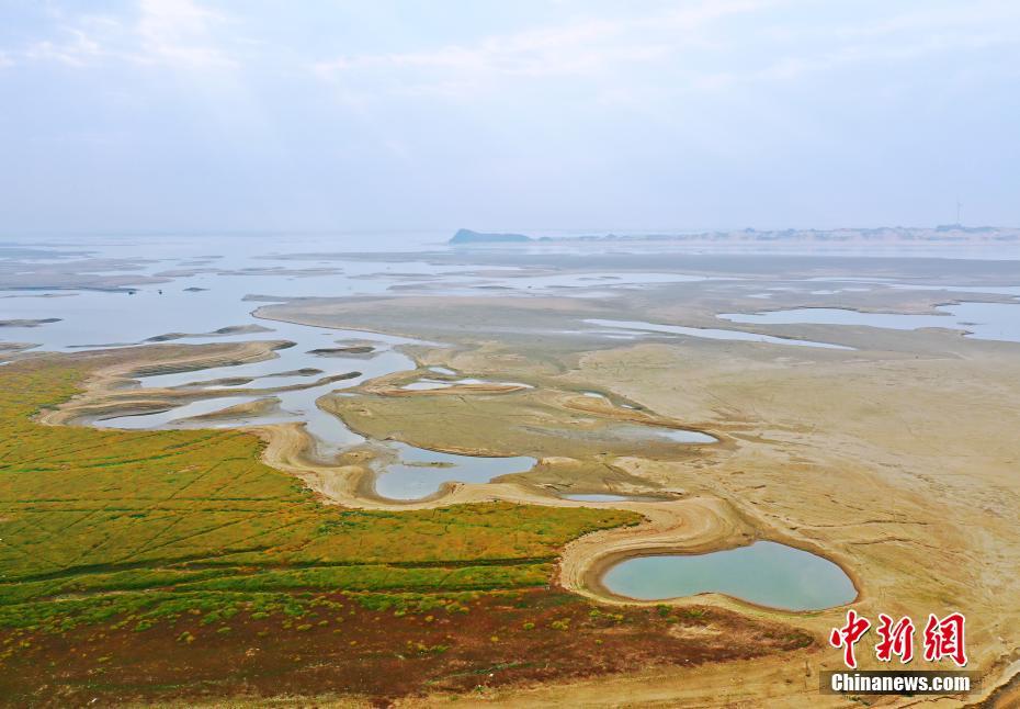 李麗珍全裸寫真集