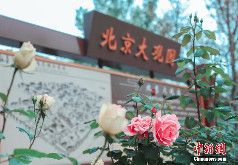 国产A级毛片