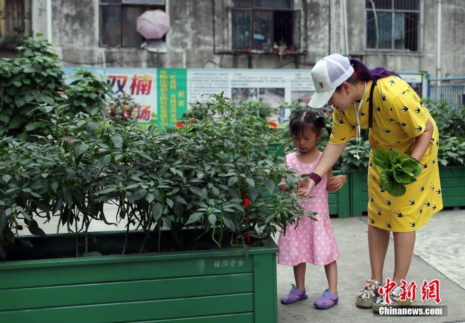 色情 网站 合集
